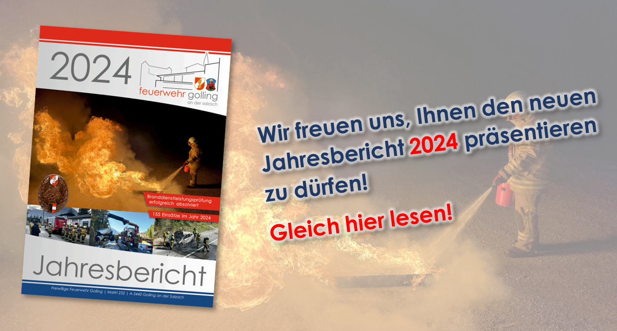 Jahresbericht 2024